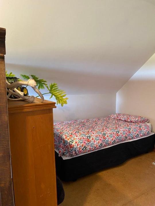 Hadlow Sunrise Retreat Timaru Εξωτερικό φωτογραφία